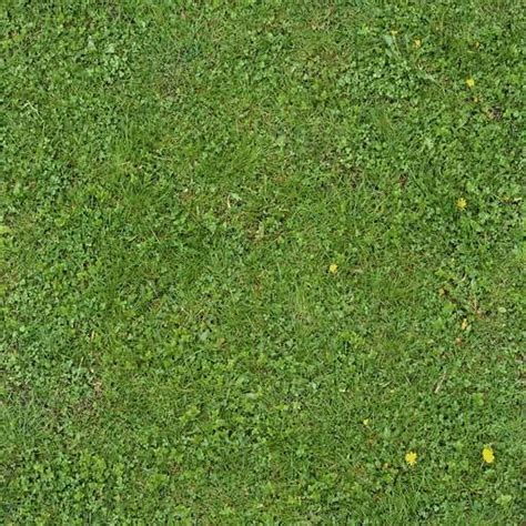They say the earth laughs in flowers. Grass free textures (JPG, PSD, PNG) to download
