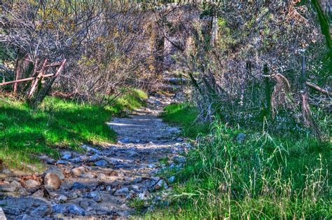Dirt Path With Rocks Free Stock Photo Public Domain Pictures