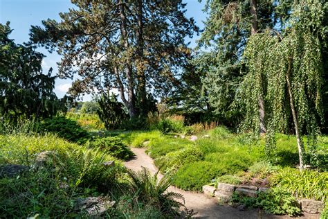 Potsdam Bornim Karl Foerster Garten Steingarten Rock Flickr