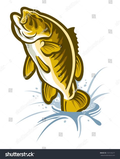 Smallmouth Bass Ilustración Vectorial En Stock 153133277 Shutterstock