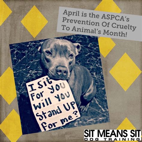 April Is The Aspcas Prevention Of Cruelty To Animals Month Sit