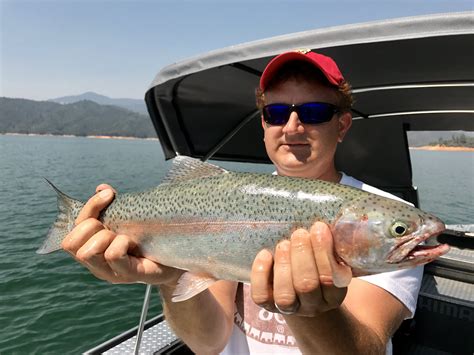 Shasta Trout And Whiskeytown Kokanee Salmon Report — Jeff Goodwin Fishing