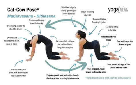 List Of Yoga Poses And Counterposes Blog Dandk