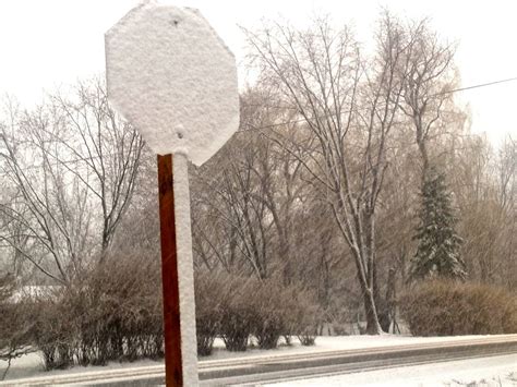 Snow Covered Stop Sign Lynn Friedman Flickr