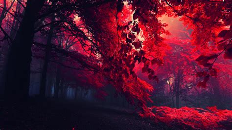 Red Leaves Beautiful Fall Landscapes Hd Wallpapers Desktop Wallpaper