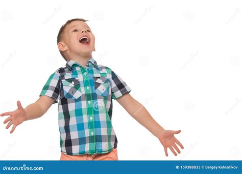 Handsome Little Boy Laughingthe Concept Of A Happy Childhood Stock