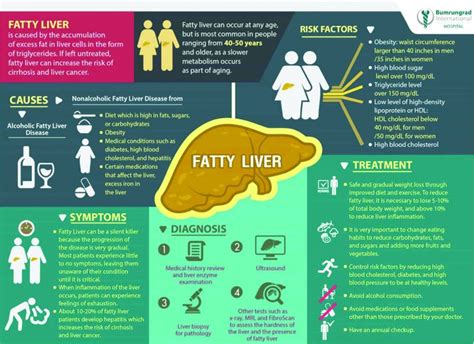 Alcohol Obesity Major Causes For Liver Cirrhosis