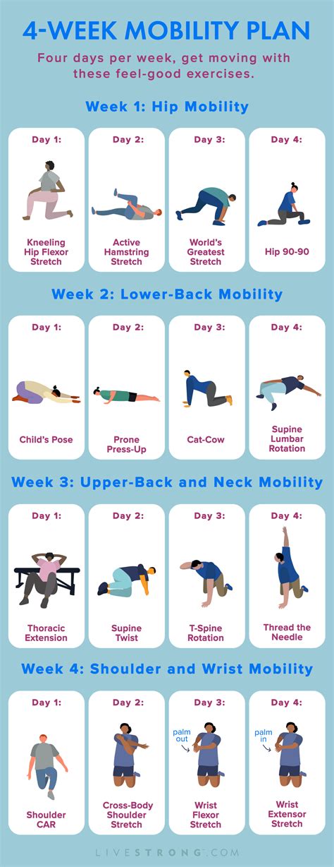 Hip Mobility Exercises Flexibility Workout Stretching Exercises
