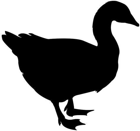 Goose Silhouette Free Vector Silhouettes