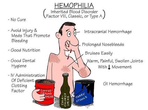 Hemophilia A Diagram Quizlet