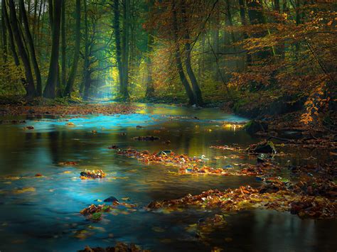River Sunbeam Autumn