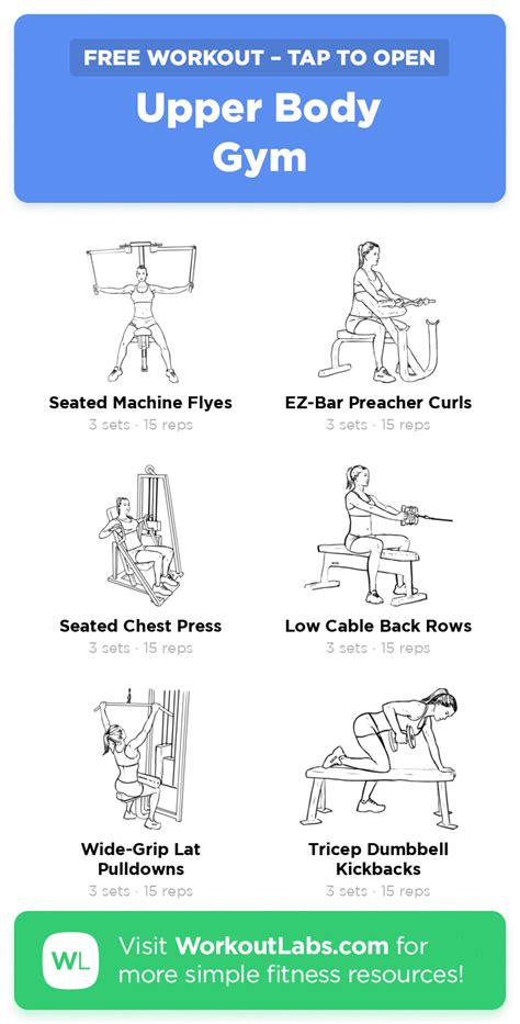 Custom Pdf Workout Builder With Exercise Illustrations Arm Workout