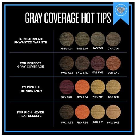 Gray Coverage Tips And Formulations You Need To Know Saloncentric