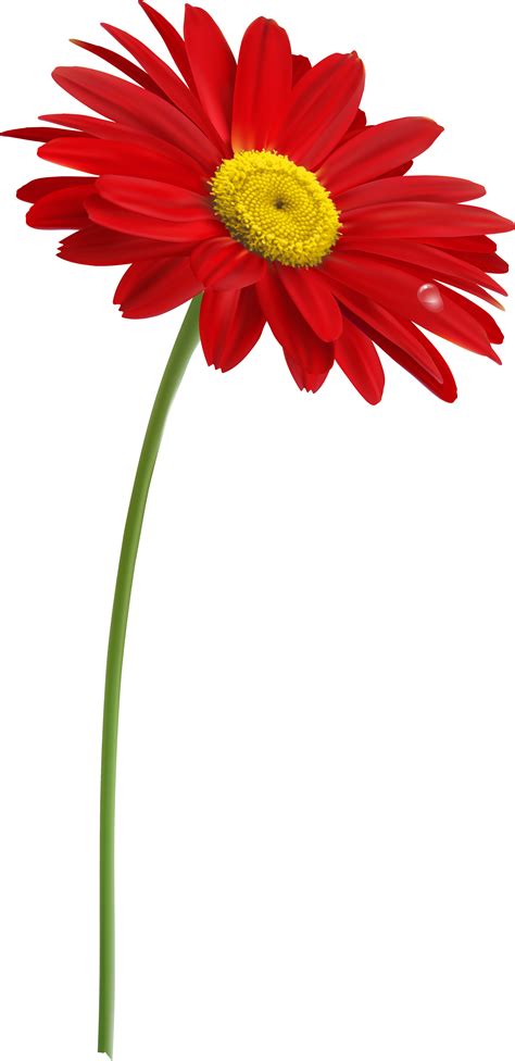 Red flower leaf png images 4,579 results. Stem Flower Clip Art With Transparent Background - One Red ...