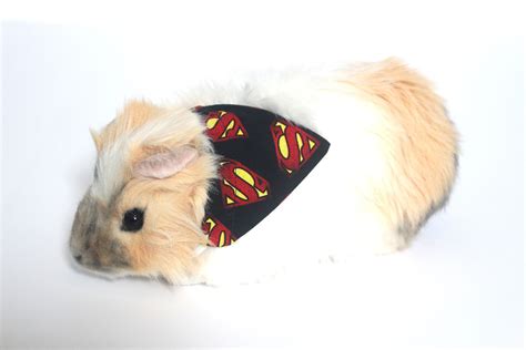 Superhero Mini Bandana For Guinea Pigs And Rabbits Superman Etsy