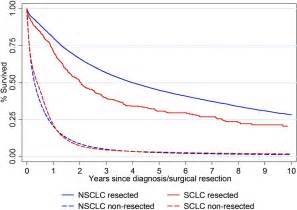 Survival Of Patients With Small Cell Lung Cancer Undergoing Lung