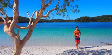 Fraser Island Day Tours Noosa Everything Australia