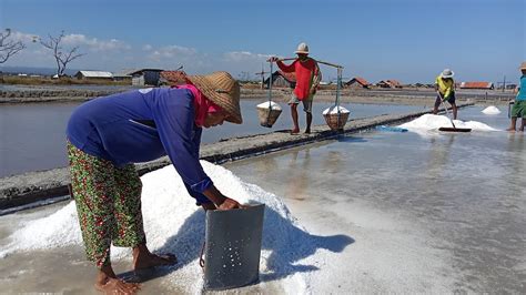 Berwisata Sambil Mengenal Proses Pembuatan Garam Di Eduwisata Garam