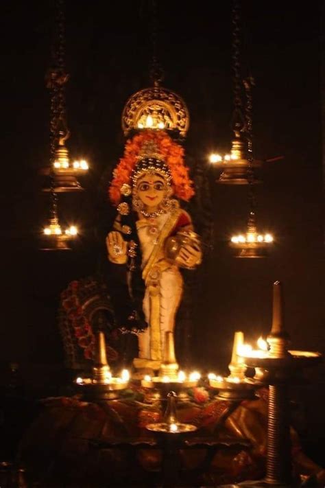 Guruvayur Krishna Deity Dressed As Mohini Avatara Radha Krishna