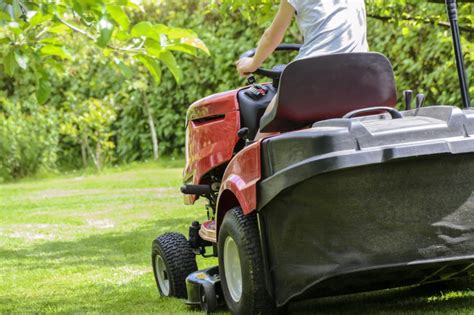 Lawn Care Basics Every Homeowner Should Know