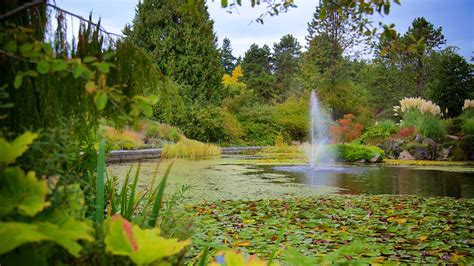 Vandusen Botanical Garden In Vancouver British Columbia Expedia