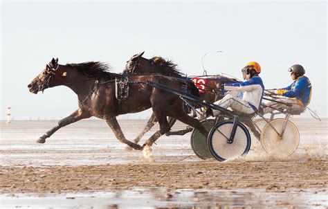 Wallpaper Race Horses Running Images For Desktop Section спорт