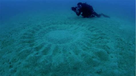 Amazing Underwater Crop Circles Youtube