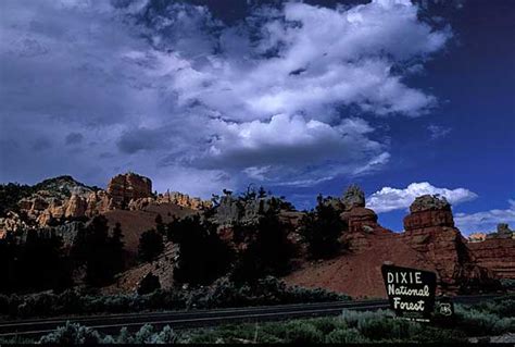 Dixie National Forest Picturestravel Pictures Photography Gallery Of