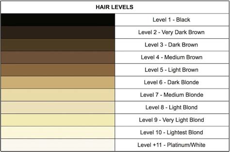 Best Of Hair Color Levels Chart Red And Description Brown Hair