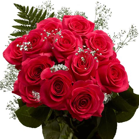 One Dozen Hot Pink Roses With Babys Breath And Green Fresh Flower