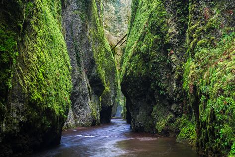 Oneonta Gorge Canyon Stream In Oregon Fine Art Photo Print Photos By