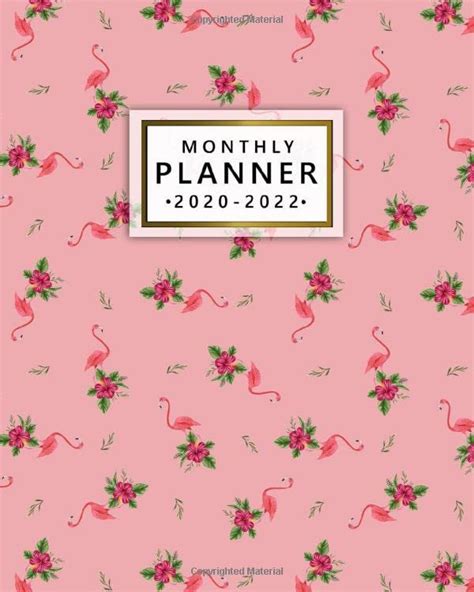2020 2022 Monthly Planner Pretty Pink Flamingo Three Year Agenda And Calendar With Monthly Spread