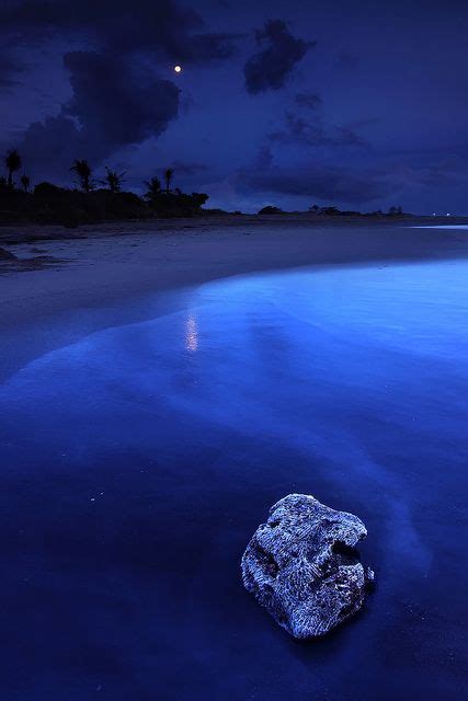 50 Best Images About Beautiful Blue Things In The World On Pinterest