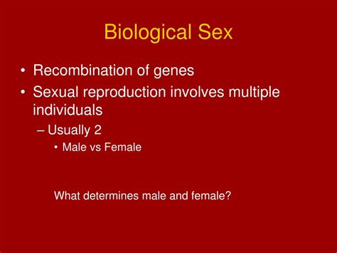 Ppt Sex Differences Powerpoint Presentation Free Download Id351444