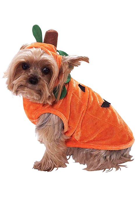 Dog Costume Pumpkin