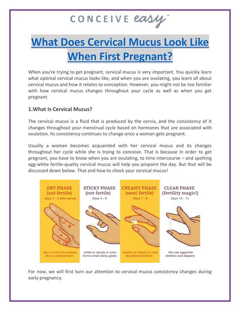 Yellow Stretchy Cervical Mucus