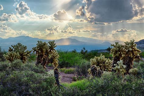 Dramatic Arizona Sunset Photograph By Dave Dilli Pixels