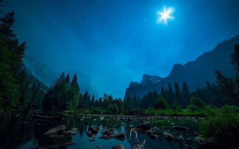 Wallpaper Landscape Forest Night Lake Water Nature Reflection
