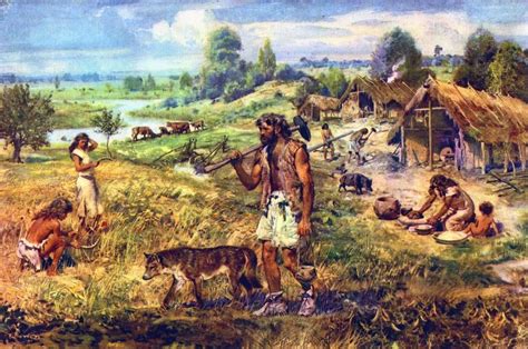 The Paleolithic Era And Neolithic Era Quiz Quizizz