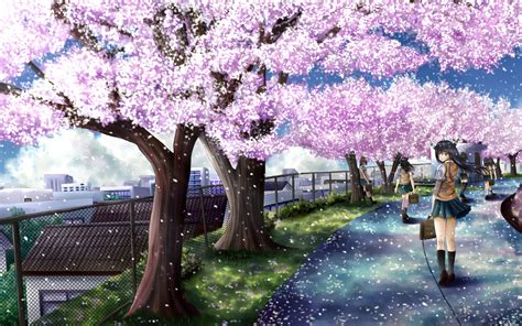 Anime Cherry Blossom Cherry Blossom Wallpaper