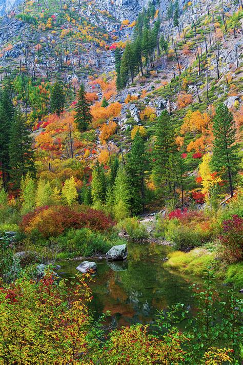 Fall Colors At Tumwater Canyon Wa Digital Art By Michael Lee Fine Art