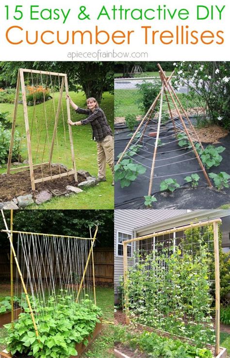 15 Easy Diy Cucumber Trellis Ideas In 2021 Vegetable Garden Trellis
