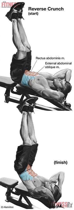Reverse Crunch Lower Abs Great Informative Article On HOW And WHY
