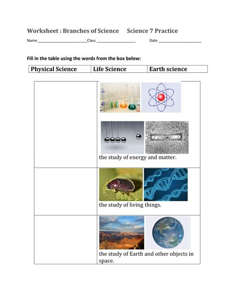 Science Branches Worksheet