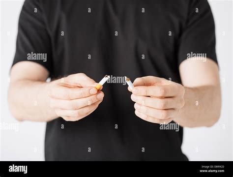 Man Breaking The Cigarette With Hands Stock Photo Alamy