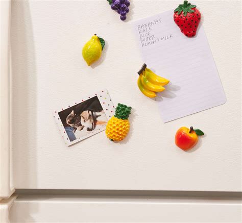 Fruit Magnets Set Urban Outfitters
