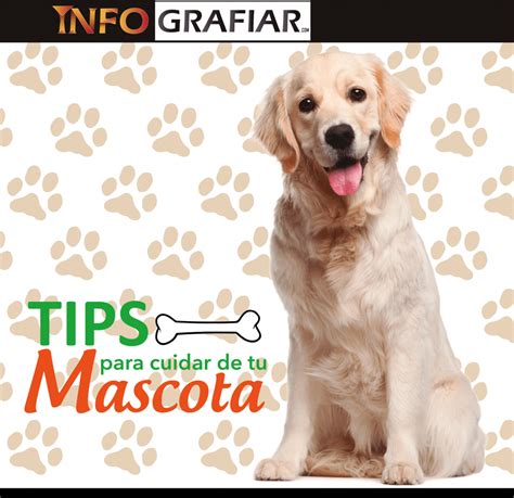 Tips Para Cuidar De Tu Mascota Infografiar