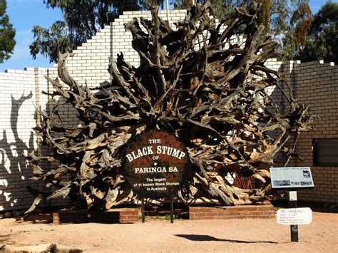 The Black Stump Paringa The Black Stump This Is Located Flickr