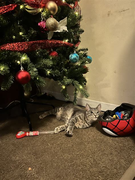 Winter Break Recap - MEET NYU