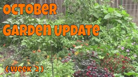Week 2 October Garden Tour Of Our Zone 6b Midwest Garden Youtube